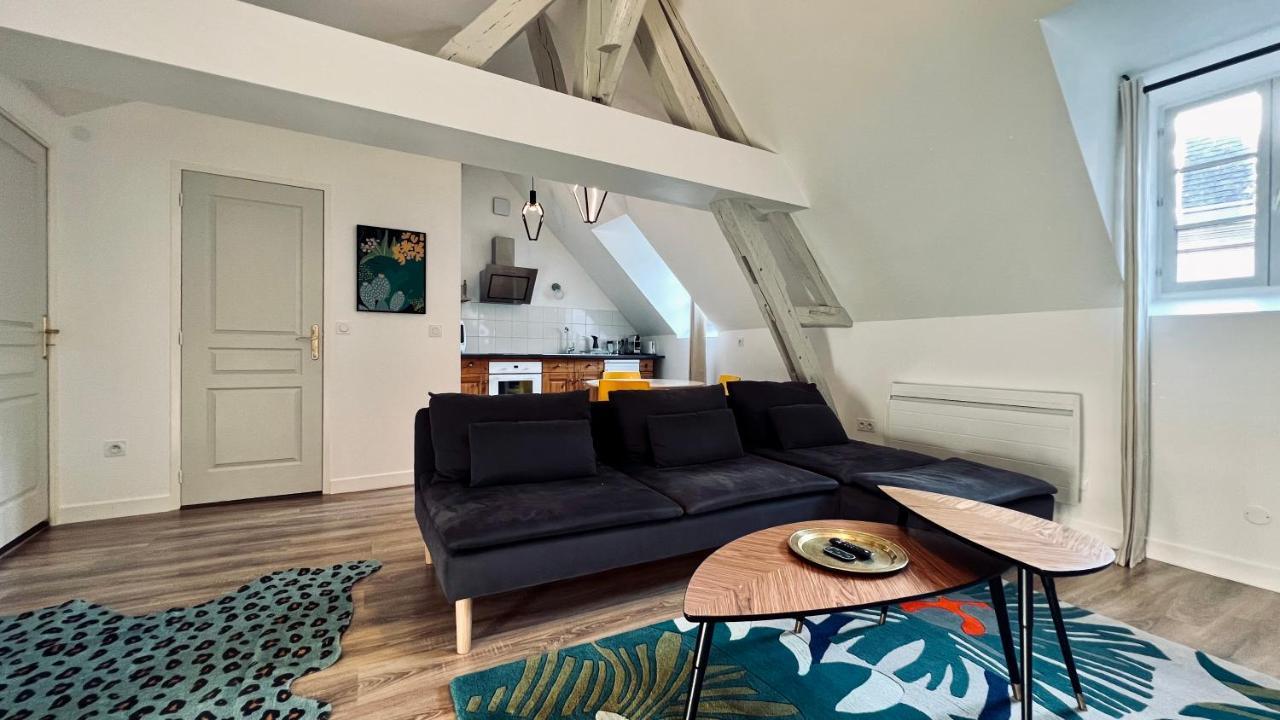 Rhizhome - Coeur De Ville, Appartement Spacieux Auxerre Exterior foto