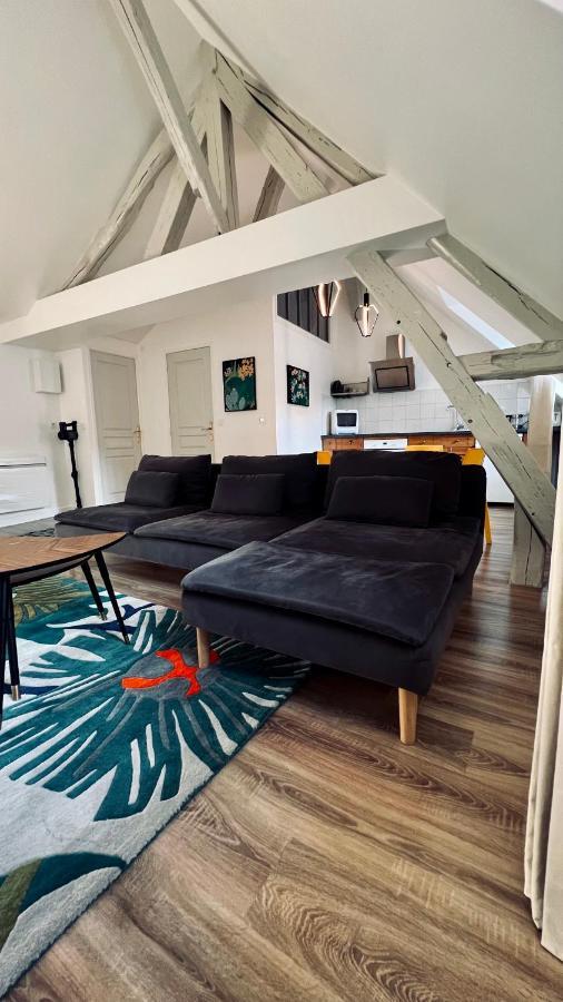 Rhizhome - Coeur De Ville, Appartement Spacieux Auxerre Exterior foto