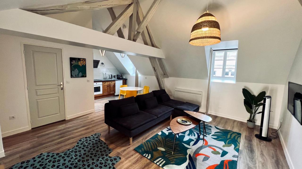 Rhizhome - Coeur De Ville, Appartement Spacieux Auxerre Exterior foto